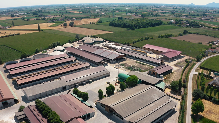 Belluco Farm - Partners For Life Merlo Spa - Merlo | United States of ...